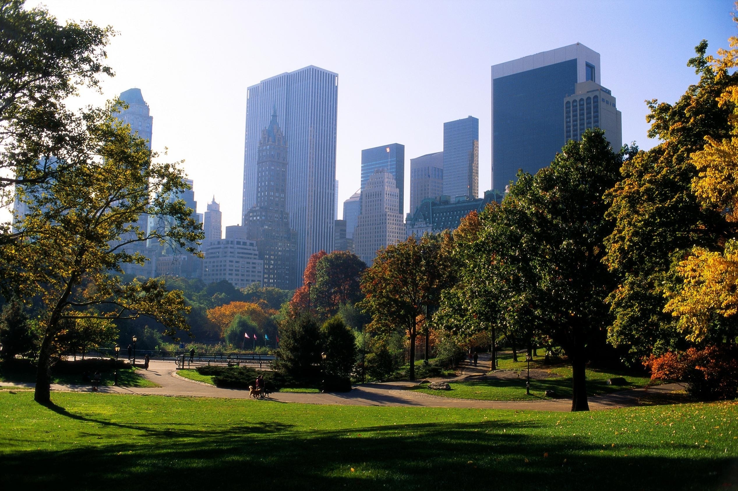 Influencia de la vegetación en la calidad del aire y el clima urbano